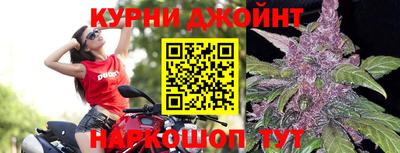 PSILOCYBIN Бийск
