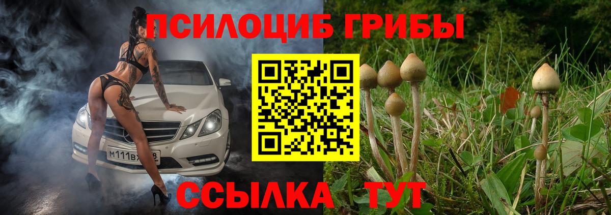 Псилоцибиновые грибы мухоморы Заволжье