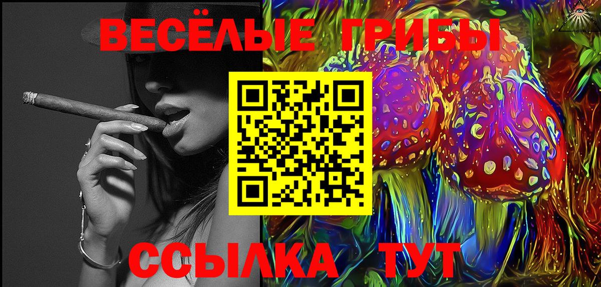 Галлюциногенные грибы MAGIC MUSHROOMS  купить наркоту  Заволжье  Псилоцибиновые грибы GOLDEN TEACHER  Вход с VPN 